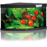 Aquarium TRIGON 350 NOIR Juwel + Meuble