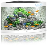 Aquarium TRIGON 190 BLANC Juwel + Meuble