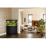 Aquarium TRIGON 190 NOIR Juwel + Meuble