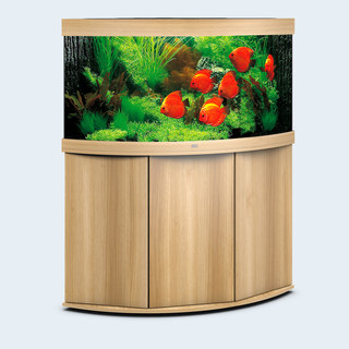 Aquarium TRIGON 350 CHÊNE CLAIR Juwel + Meuble