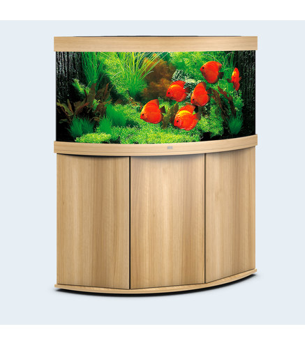 Aquarium TRIGON 350 CHÊNE CLAIR Juwel + Meuble