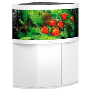 Aquarium TRIGON 350 BLANC Juwel + Meuble