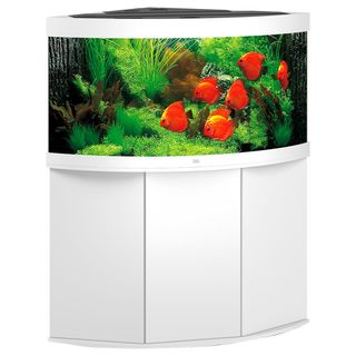 Aquarium TRIGON 350 BLANC Juwel + Meuble