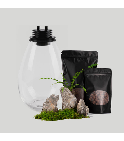 Kit BAIOSPHERE Original Noir - Lampe Terrarium 