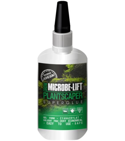 Microbe-Lift (Salt & Fresh) Plantscaper 50g - Colle pour plantes
