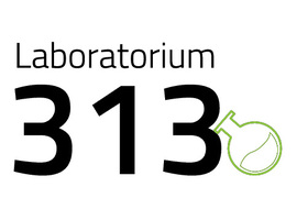 Laboratorium 313