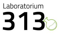 Laboratorium 313