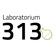 Laboratorium 313