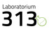 Laboratorium 313