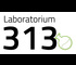 Laboratorium 313