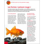 Les Poissons Rouges - Livre