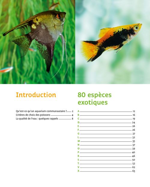 80 Poissons Exotiques Livre Editions Ulmer Guide Aquariophilie