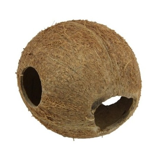 COCOS CAVA 1/1M JBL coque de noix de coco décoration aquarium