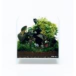 DOOA JUNGLE SOIL 700ml