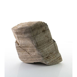 GOBY ROCK - Taille M | 10 - 15cm