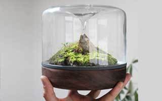 Terrariums