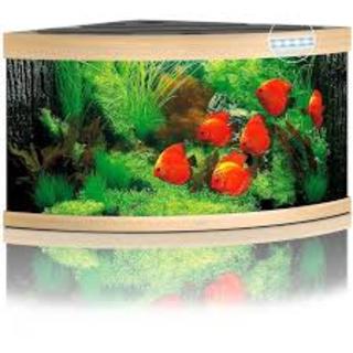 Aquarium TRIGON 350 LED (2x23w + 2x12w) CHENE CLAIR JUWEL