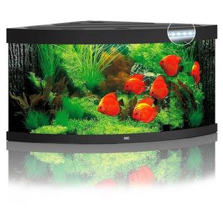 Aquarium TRIGON 350 LED (2x23w + 2x12w) NOIR  JUWEL