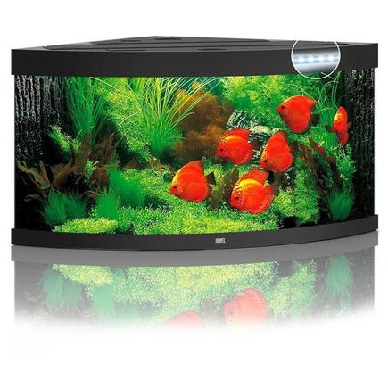 Aquarium angle juwel trigon 350 led tout equipe noir cuve 1200x