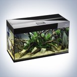 Aquarium Aquael Glossy 100 Noir LED 215L+Meuble portes acrylique