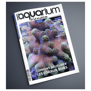 Aquarium À La Maison N° 146 - Juillet / Août 2021