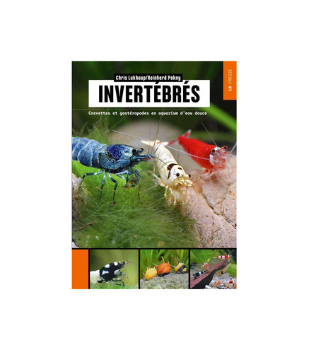 Invertébrés - Crevettes et Gastéropodes en Aquarium d'eau Douce