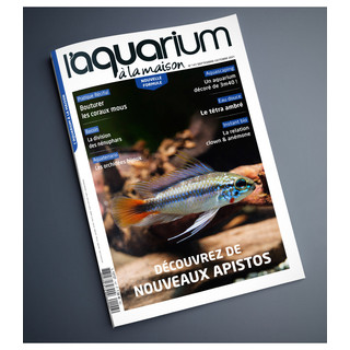 Aquarium À La Maison N° 147 - Septembre / Octobre 2021