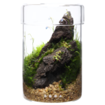 DOOA Glas Pot MARU