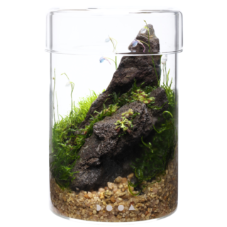 DOOA Glas Pot MARU