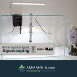 Mon 1er Aquarium équipé Aquascaping | 38L