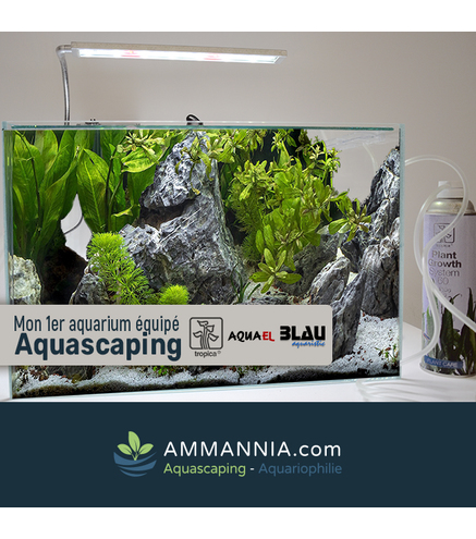 Mon 1er Aquarium équipé Aquascaping | 38L