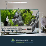 Mon 1er Aquarium équipé Aquascaping | 38L