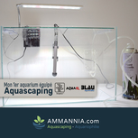 Mon 1er Aquarium équipé Aquascaping | 28L