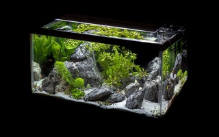 Matériel aquascaping