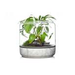 SANCTUARY M Temperate Carrara - Terrarium ouvert carrare BOTANICA