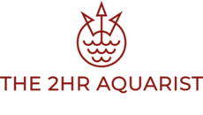 The 2hr aquarist