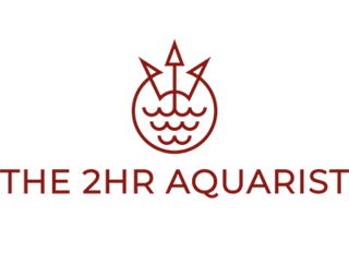 The 2hr aquarist