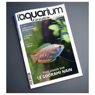 Aquarium À La Maison N° 149 - Janvier / Février 2022