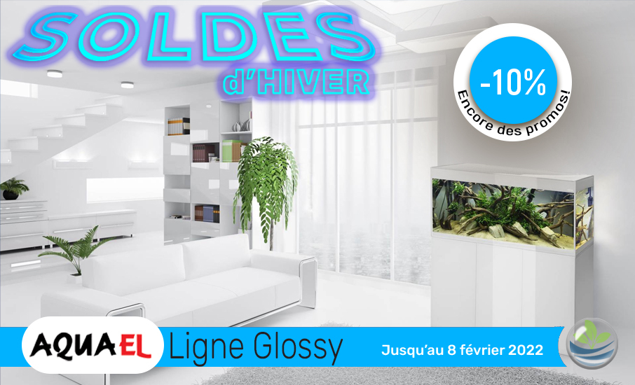 Soldes glossy 2022