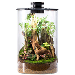 Bio Bottle ZD200 BIOLOARK Terrarium | Wabi-Kusa | Mossarium +led