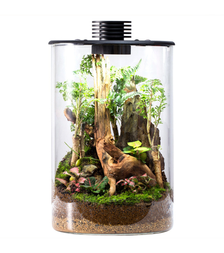 Bio Bottle ZD200 BIOLOARK Terrarium | Wabi-Kusa | Mossarium +led