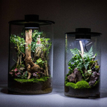 Bio Bottle ZD200 BIOLOARK Terrarium | Wabi-Kusa | Mossarium +led