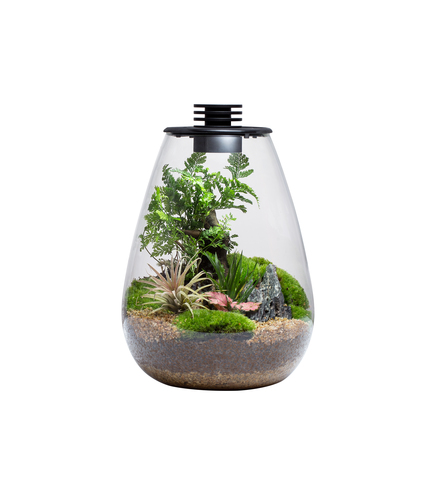 Bio Bottle SD175 BIOLOARK Terrarium | Wabi-Kusa | Mossarium +led