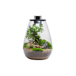 Bio Bottle SD175 BIOLOARK Terrarium | Wabi-Kusa | Mossarium +led