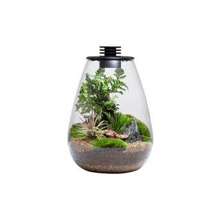 Bio Bottle SD175 BIOLOARK Terrarium | Wabi-Kusa | Mossarium +led