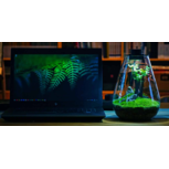 Bio Bottle SD200 BIOLOARK Terrarium | Wabi-Kusa | Mossarium +led