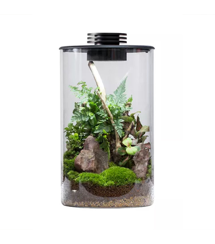 Bio Bottle ZD150 BIOLOARK Terrarium | Wabi-Kusa | Mossarium +led