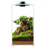 Bio Bottle FD250 BIOLOARK Terrarium | Wabi-Kusa | Mossarium +led