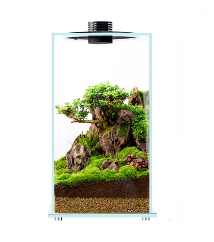 Bio Bottle FD250 BIOLOARK Terrarium | Wabi-Kusa | Mossarium +led