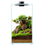 Bio Bottle FD200 BIOLOARK Terrarium | Wabi-Kusa | Mossarium +led